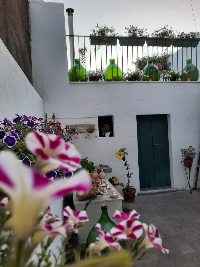 Villa Argenta 111 Santa Tecla Acireale Exterior foto